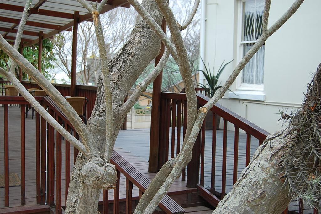 קינג וויליאמס טאון Glencoe Guest House מראה חיצוני תמונה